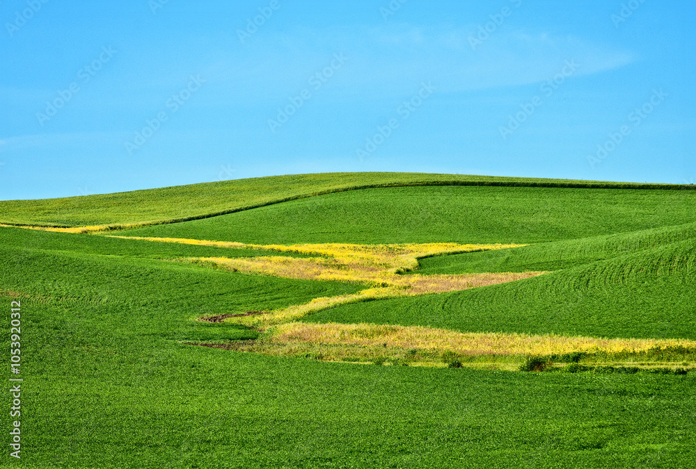 Palouse Farmland Under a Clear Blue Sky Palouse Farmland Under a Clear Blue Sky