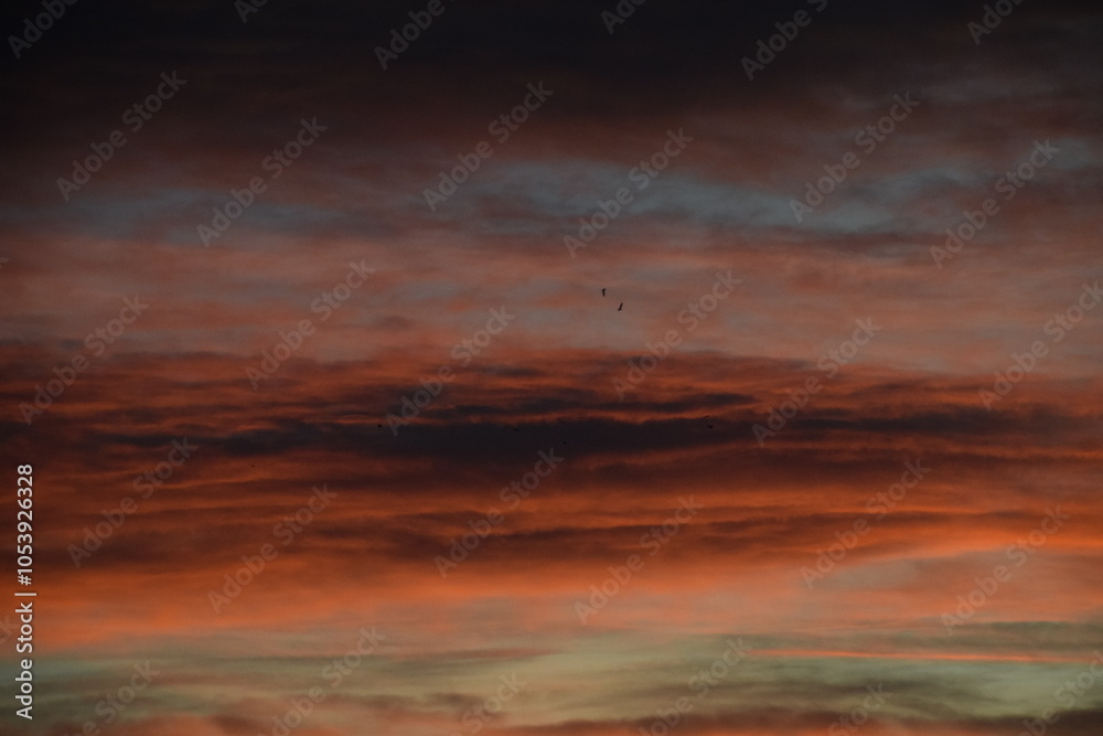 Fototapeta premium Tramonto mozzafiato, colori vivaci nel cielo, uccelli in volo creano un'atmosfera magica.English: Breathtaking sunset, vibrant colors in the sky, birds in flight create a magical atmosphere.