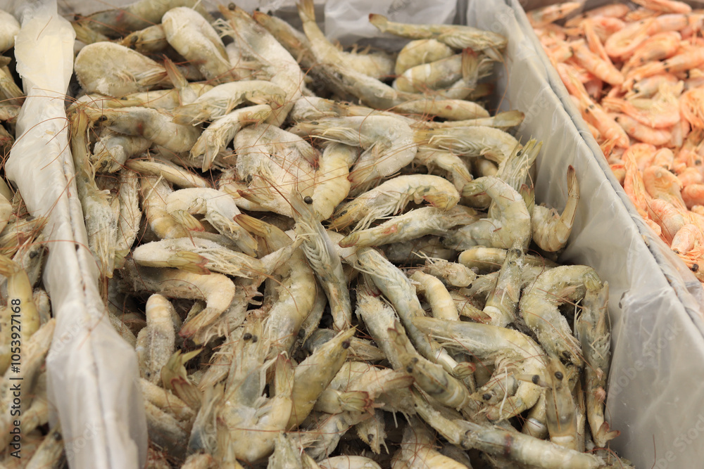 Fresh frozen shrimp in shell. Fish market. Shrimp from Ecuador fresh frozen in refrigeration chamber in supermarket. Sale of shrimp. Seafood on counter Fresh frozen shrimp in shell. Fish market. Shrimp from Ecuador fresh frozen in refrigeration chamber in supermarket. Sale of shrimp. Seafood on counter