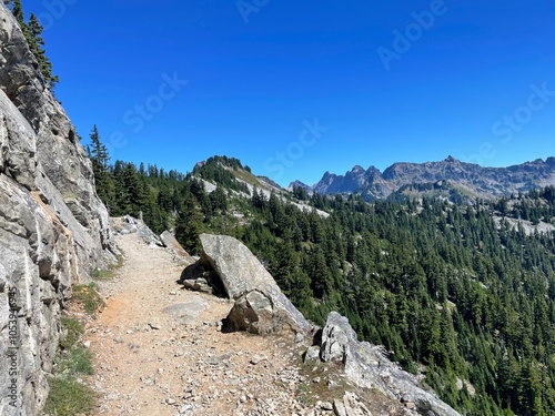 hiking trail on side of mountain overlooking forest in the pacific northwest