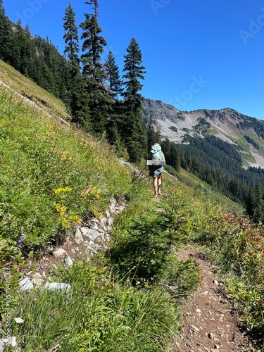 hiking in the mountains backpacking on the pacific crest trail