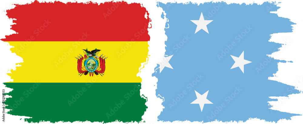 Obraz premium Federated States of Micronesia and Bolivia grunge flags connection, vector
