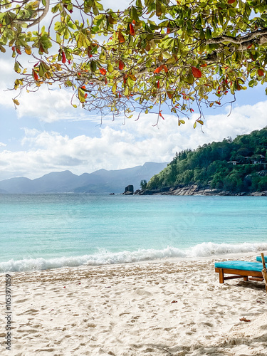 Beach in the Seychelles