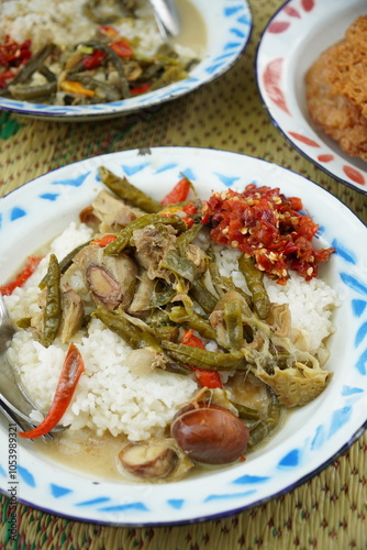 A lunch set with creamy coconut milk vegetable stew (sayur lodeh), red chili sambal, fried tempeh, and fried egg. The stew includes long beans (Vigna unguiculata) and young jackfruit (Artocarpus heter photo