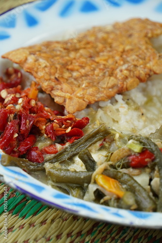 A lunch set with creamy coconut milk vegetable stew (sayur lodeh), red chili sambal, fried tempeh, and fried egg. The stew includes long beans (Vigna unguiculata) and young jackfruit (Artocarpus heter photo