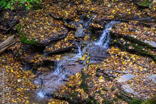 Waterfall on the Four Mile Run Creek by the Turkey Path Trail in Leonard Harrison State Park, in Watson Township, Pennsylvania. photo