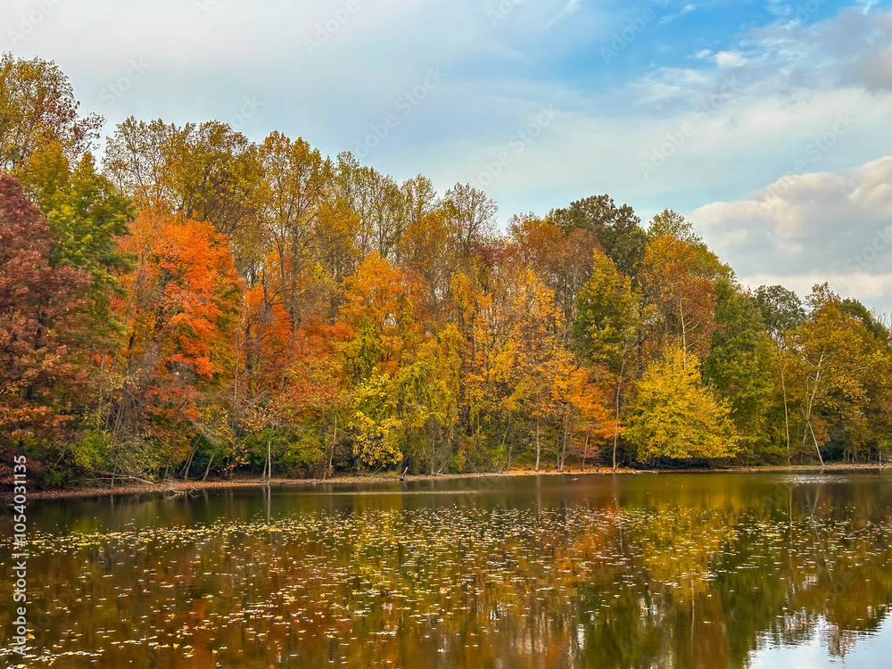 Shoreline Of A Lake With Trees In Autumn Colors Shoreline Of A Lake With Trees In Autumn Colors