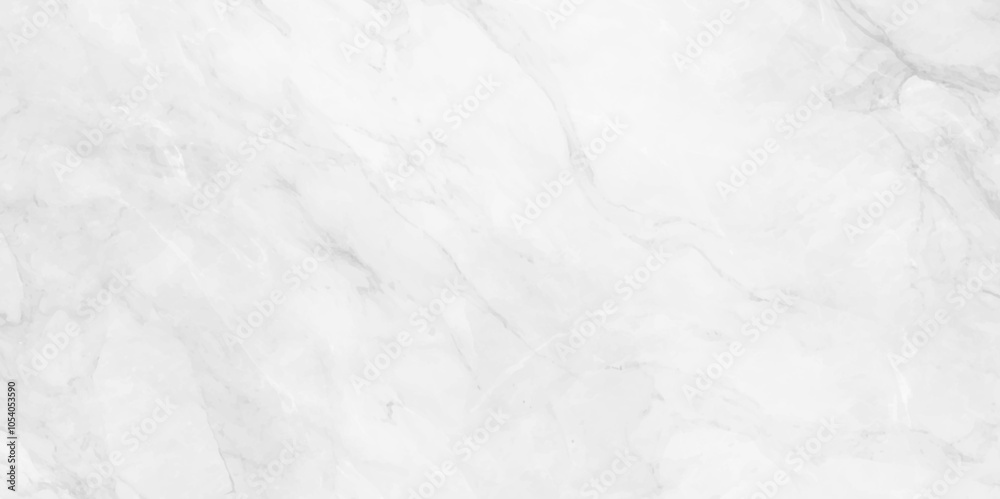 Obraz premium abstract White gray marble luxury wall texture, black for do floor ceramic counter texture stone slab smooth tile gray silver natural, natura marble line pattern abstract for background design .