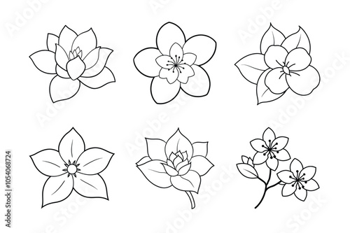 Spring Blossoms Line Art Bundle – Cherry, Apple, Magnolia, Plum, Dogwood, and Lilac Flowers photo