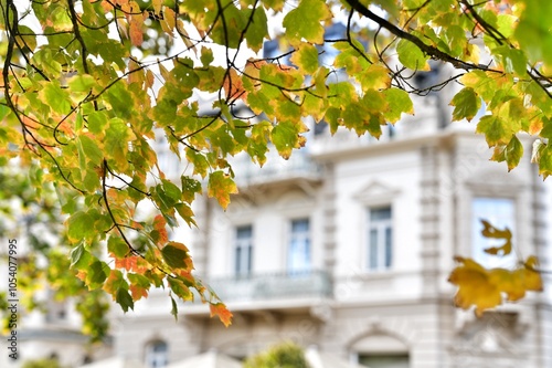 autumn in the city of Bad Nauheim photo