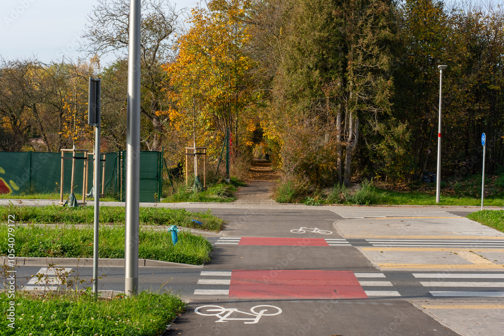 Obraz premium Bicycle and pedestrian path surrounded by autumn trees and greenery. Concept of active recreation, cycling and nature. High quality photo