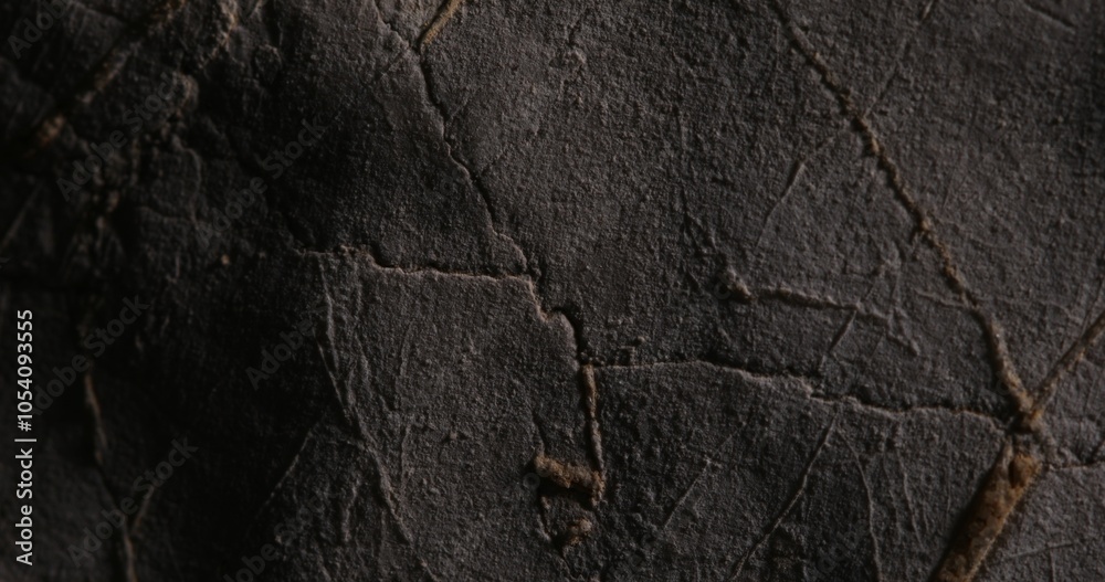 Close-up of Textured Rock Surface with Natural Cracks Close-up of Textured Rock Surface with Natural Cracks