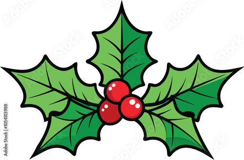 Christmas Holly with Red Berries and Green Leaves, Evergreen Pine Needles, Isolated on White Background .