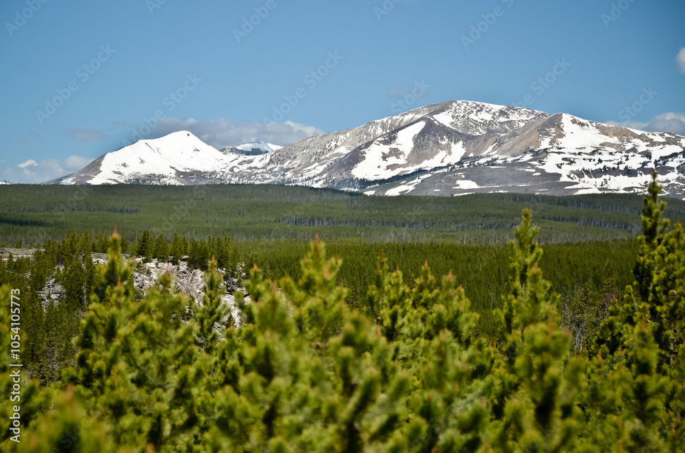 Fototapeta premium Scenic View in Yellowstone Nationalpark