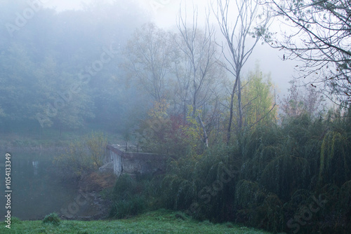 Obraz na płótnie Autumn in Moldova, foggy landscape in the park. Thick fog early in the morning on the lake shore. w salonie