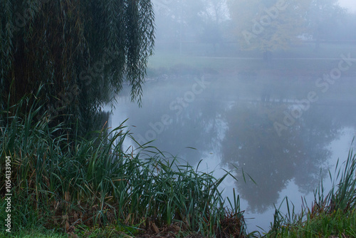 Obraz na płótnie Autumn in Moldova, foggy landscape in the park. Thick fog early in the morning on the lake shore. w salonie