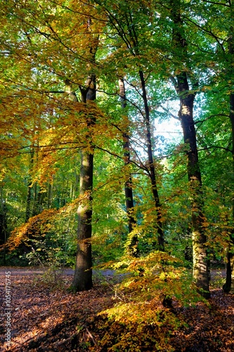 Processed by: Helicon Filter;