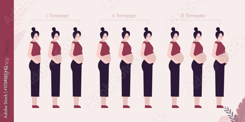 Happy caucasian girl with changes in woman's body in pregnancy. Main stages of pregnancy. Maternity, happy pregnant woman portrait. Three trimesters. Monthly stage