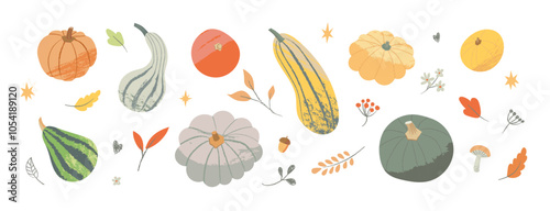 Set of Seasonal Pumpkins and Foliage isolated on white background. Collection of colorful vector squashes and gourds for Thanksgiving. Autumn Harvest time illustration