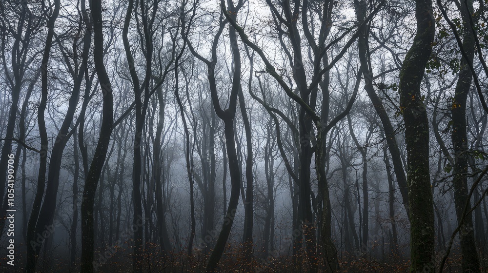 A dense, misty forest with bare trees reaching towards the sky, creating a mysterious and ethereal atmosphere. A dense, misty forest with bare trees reaching towards the sky, creating a mysterious and ethereal atmosphere.