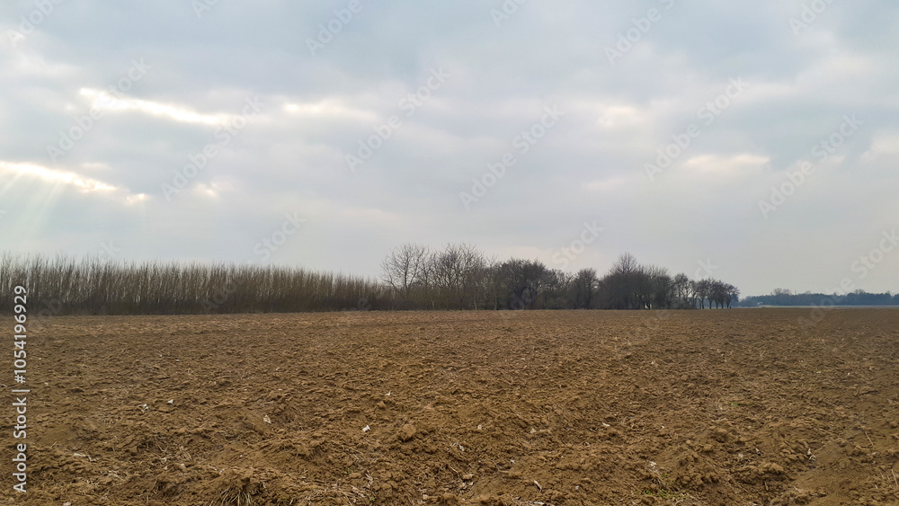 Obraz premium A vast, barren field under a moody sky, surrounded by trees in the distance, capturing the essence of rural landscape and nature's tranquility.