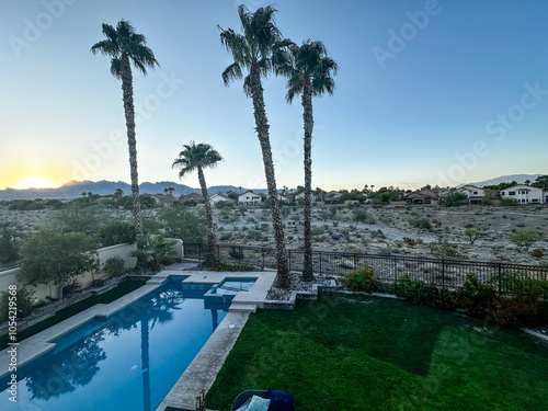 trees and pool