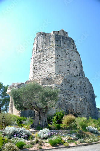 Tour Magne