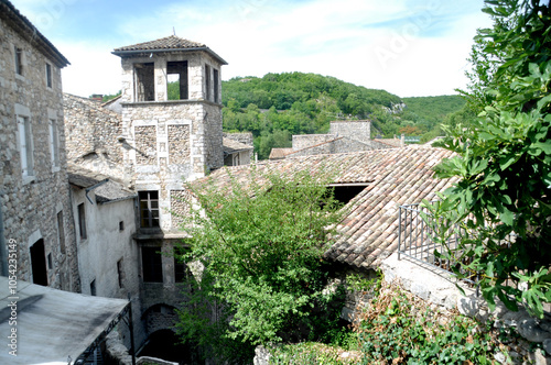 Château de Vogüe