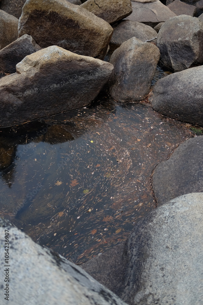 Fototapeta premium Yosemite National Park - October 2024