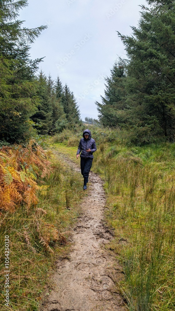 woman hiking trough forest, t at Slieve Bloom Mountains, Forelacka, Kinnitty, Co. Offaly, adventure and lifestyle