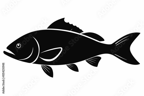 Barramundi Fish silhouette vector, fish black silhouette vector illustration
