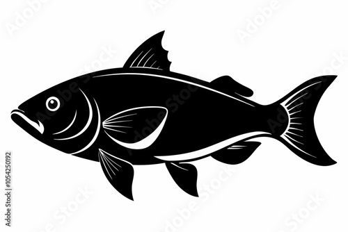 Barramundi Fish silhouette vector, fish black silhouette vector illustration
