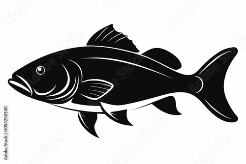 Barramundi Fish silhouette vector, fish black silhouette vector illustration
