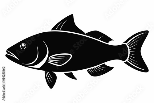 Barramundi Fish silhouette vector, fish black silhouette vector illustration
