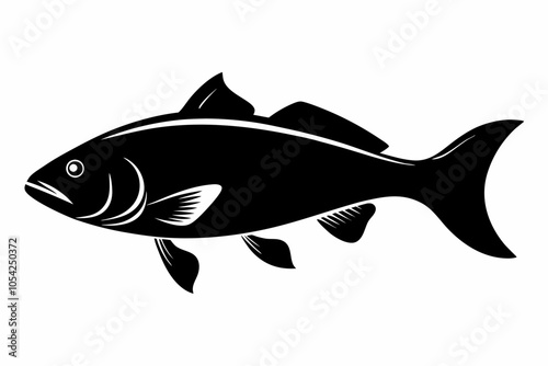 Barramundi Fish silhouette vector, fish black silhouette vector illustration
