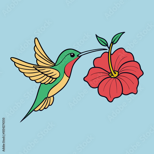 A delicate hummingbird sips nectar from a hibiscus