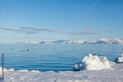 Scenic Winter Landscape of Arctic Waters and Snow-Covered Mountains