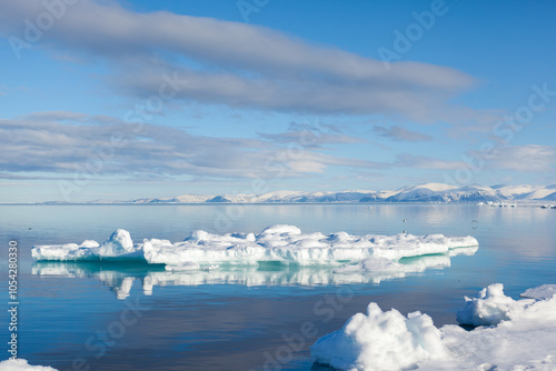 Scenic Arctic Landscape with Icebergs and Snowy Mountains