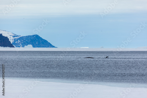 Arctic Ocean View with Icebergs and Distant Mountain Range