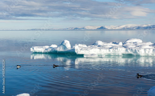 Serene Arctic Landscape with Icebergs and Calm Waters
