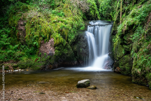 waterfall in the forest