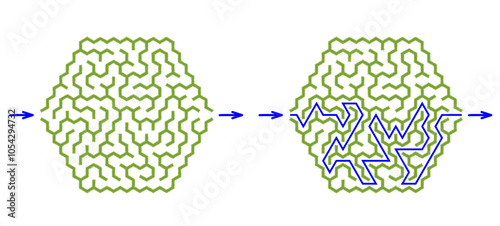 Help bunny pass through green hedge maze to find carrot. Feed the hungry pet labyrinth. Family riddle for kids and parents with solution - red passing route