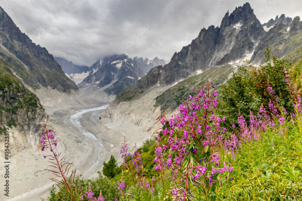 Fototapeta premium Mer de Glace glacier in the Alps. The biggest glacier in Chamonix Montblanc valley and peaks of les Droites and Grand Jorasses on the background alpine scenic vier of glacier river with stones rocks
