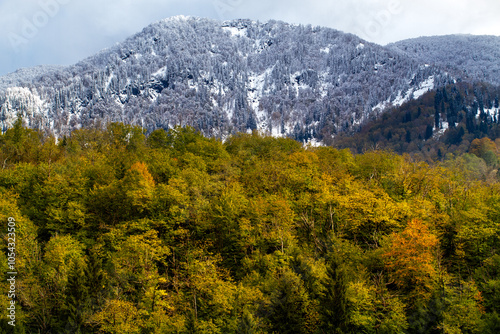 A region that creates resource value with its unique biosphere reserve, Maçahel, Borçka, Artvin photo