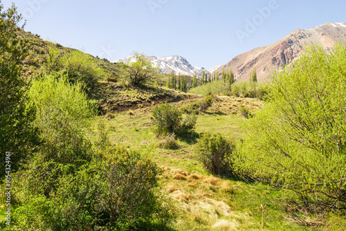 Descubriendo nuevos senderos en la naturaleza apacible photo