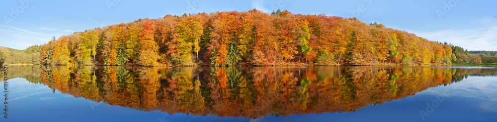 Fall panoramic forest in the lake with reflection. Fall panoramic forest in the lake with reflection.