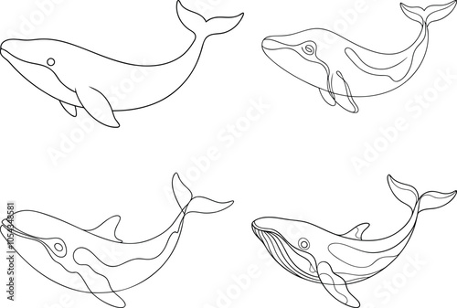 Set of Stylish Single Line Drawing of a Whale Unique Vector Artwork