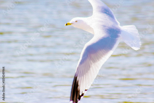 Seagull Soaring Over Ripples of Lake Water w/Beautiful Wingspan Showing - Room for Text, Message or Advertisement (filtered photo) w/Texture