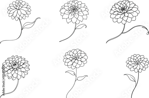 Set of Single Line Drawing of Zinnia A Simple Yet Stunning Floral Illustration