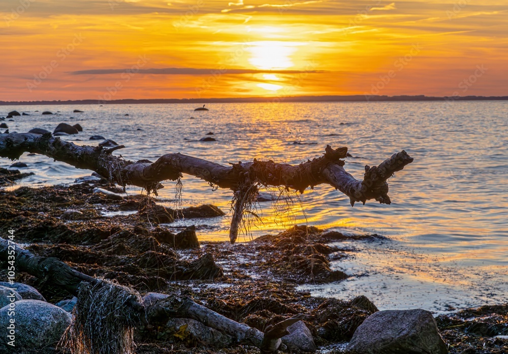 Fantastic sunset on the cliffs of the Baltic Sea on the island of Poel